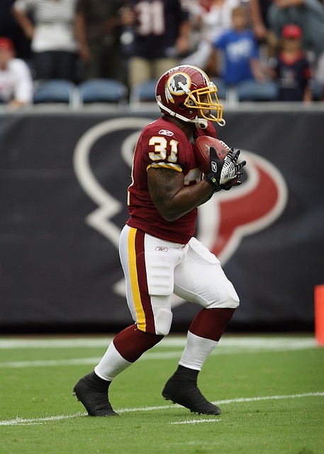 域的